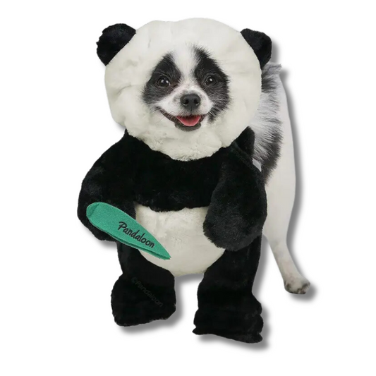 Pandaloon Panda Puppy Costume